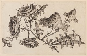 Flower Bough, from "Recueil de Fleurs Chinois" by Jean Baptiste Pillement