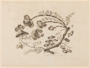 Flower Boughs, from "Collection of Different Fantasy Flowers in the Chinese Taste" by Jean Baptiste Pillement