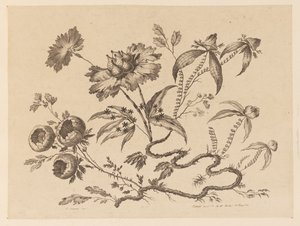 Flower Boughs, from "Recueil de Differentes Fleurs de Fantaisie Dans le Goût Chinois" by Jean Baptiste Pillement