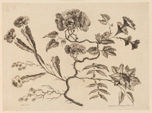 Flower Boughs, from 