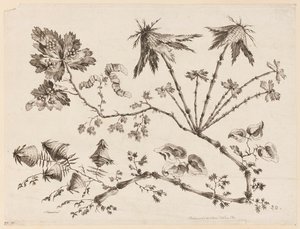 Flower Boughs, from "Recueil de Differentes Fleurs de Fantaisie Dans le Goût Chinois" by Jean Baptiste Pillement