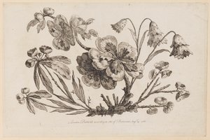 Flower Boughs, from "Recueil de Fleurs de Chinois" by Jean Baptiste Pillement