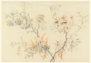 Flowering Branches