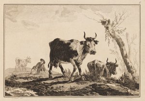 Plate 5, 