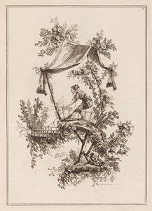 Plate 5, 