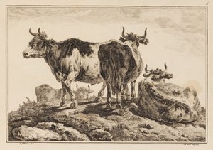 Plate 6, from 