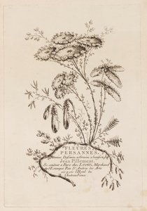 Title Page, from 