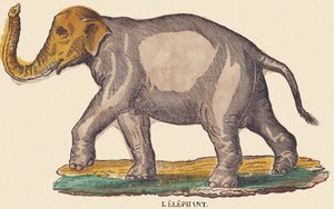 The Elephant, c.1840-1852 by Jean Baptiste Thiebault