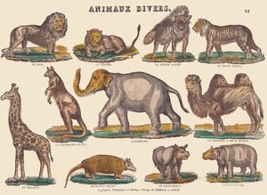 Various animals, c.1840-1852 by Jean Baptiste Thiebault