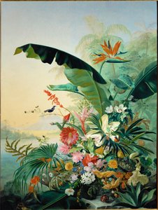 Exotic Flowers by Jean Benner-Fries