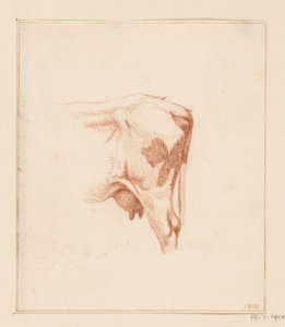 Hind Legs of a Cow by Jean Bernard