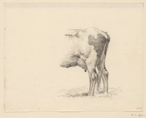 Hind Legs of a Cow by Jean Bernard