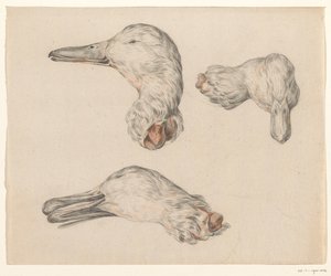 Severed Head of a Duck by Jean Bernard