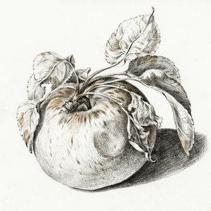 Apple by Jean Bernard