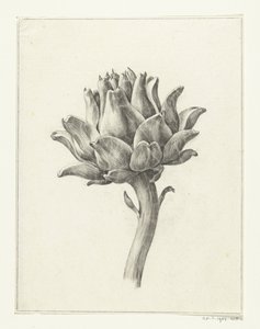 Artichoke by Jean Bernard