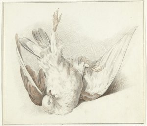 Dead Dove by Jean Bernard