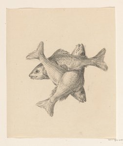 Three Crosswise Arranged Fish by Jean Bernard