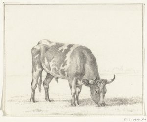 Grazing Bull, to the Right by Jean Bernard