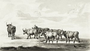 Group of Six Bulls by Jean Bernard