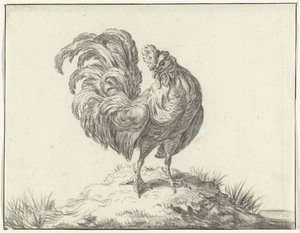 Chicken Standing on a Hill by Jean Bernard