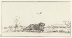 Cow in the Water by Jean Bernard