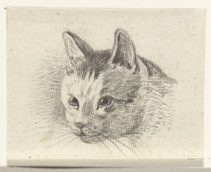 Head of a Cat by Jean Bernard