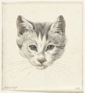 Head of a Cat, Seen from the Front by Candlelight by Jean Bernard