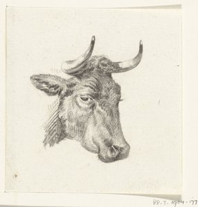 Head of a Cow