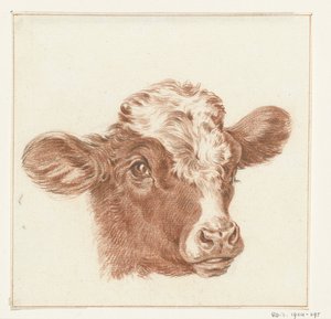 Head of a Cow by Jean Bernard