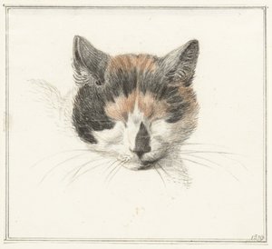 Head of a Calico Cat, Front View, with Closed Eyes by Jean Bernard