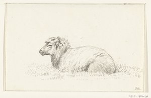 Lying Sheep, Facing Left by Jean Bernard