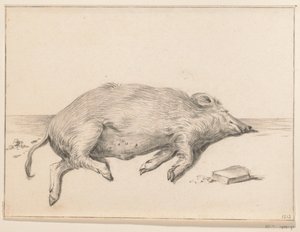 Lying Pig, Facing Right