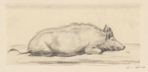Lying Pig, Facing Right by Jean Bernard