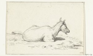 Lying Goat, to the Right by Jean Bernard