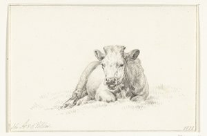Lying Cow, Front View by Jean Bernard