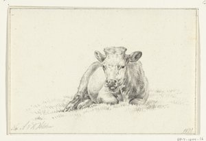 Lying Cow, Front View by Jean Bernard
