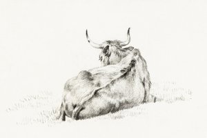 Lying Cow by Jean Bernard