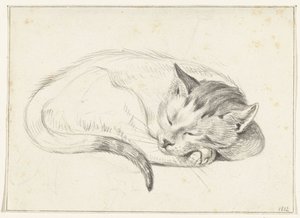 Rolled Up Sleeping Cat by Jean Bernard