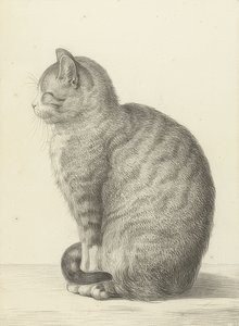 Sitting Cat, to the Left. 1815