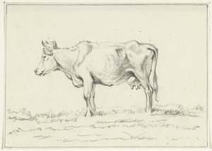 Standing Cow, Facing Left by Jean Bernard