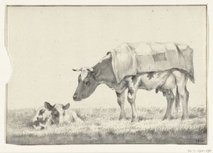 Standing Cow Facing Left with Lying Calf
