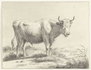 Standing Cow, Facing Right by Jean Bernard