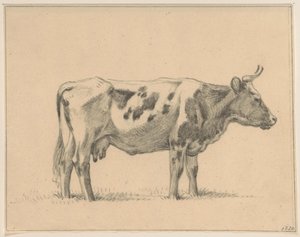 Standing Cow, Facing Right by Jean Bernard