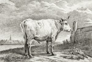 Standing Bull