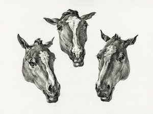 Three Horse Heads