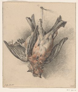 Two Dead Birds, Hung on a String by Jean Bernard