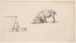 Pig, a Pen, and a Sketch of a Fence