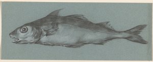 Fish, Facing Left by Jean Bernard