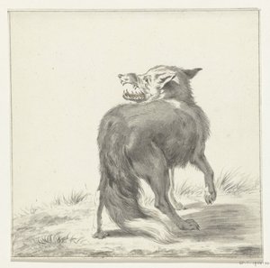 Fox by Jean Bernard