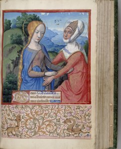 The Visitation Book of Hours by Jean Bourdichon